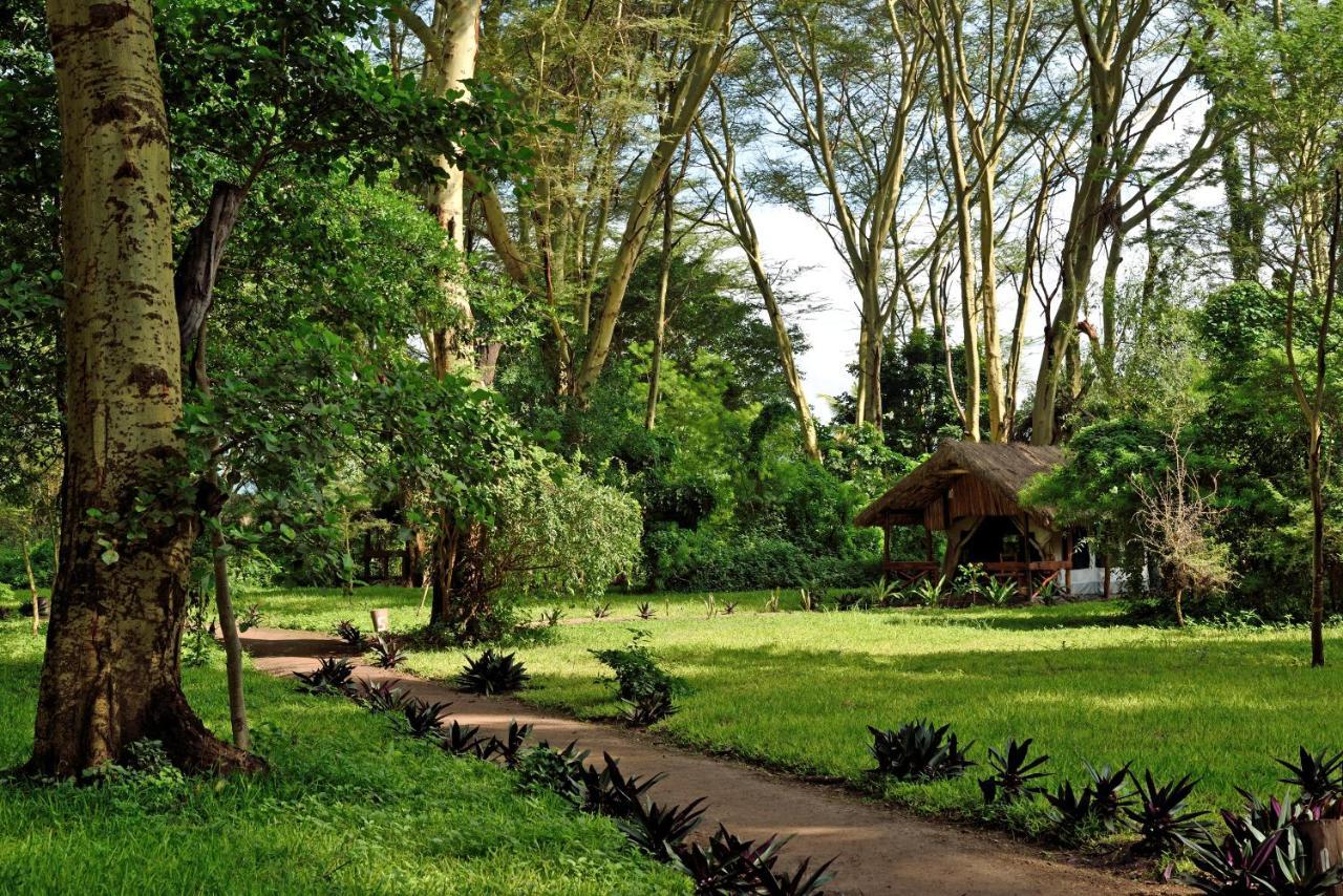 Migunga Tented Camp Mto wa Mbu Exterior foto